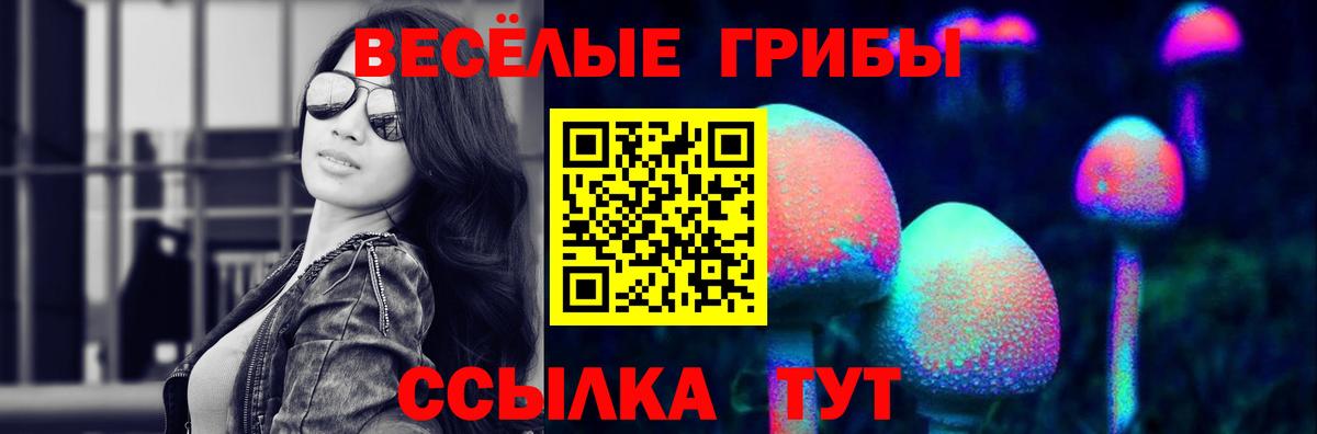 Галлюциногенные грибы мухоморы  Вход с VPN  Сатка 